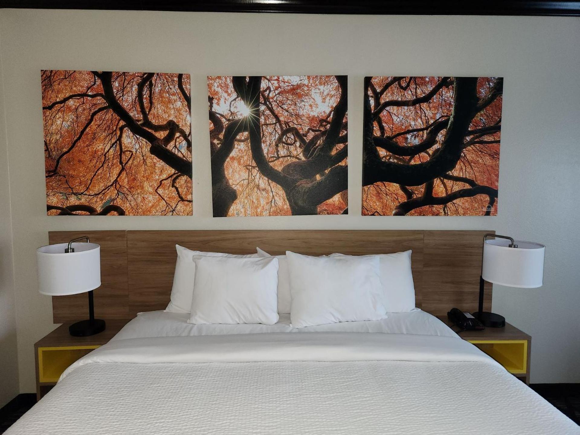 Days Inn By Wyndham Baton Rouge I-10 Prairieville Zewnętrze zdjęcie